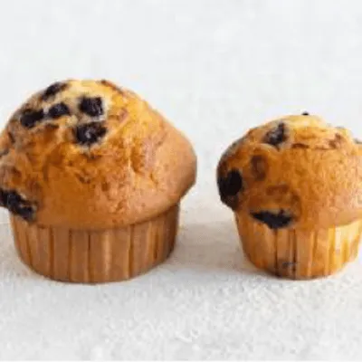 Blueberry Muffin