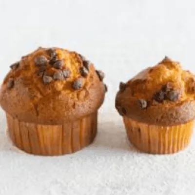 Chocolate Muffin